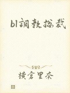 bl调教总裁封面
