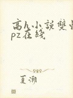 高h小说双性npz在线