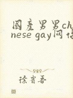 国产男男chinese gay网站封面