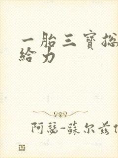 一胎三宝总裁超给力封面