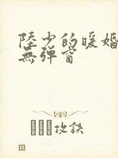 陆少的暖婚新妻无弹窗封面