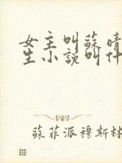 女主叫苏晴的重生小说叫什么名字封面