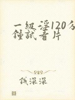 一级淫120分钟试看片