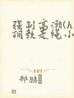 强制高潮(h)调教走绳小说封面