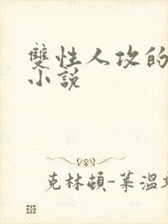 双性人攻的高h小说