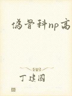 伪骨科np高h封面