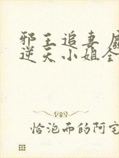 邪王追妻 废材逆天小姐全文阅读