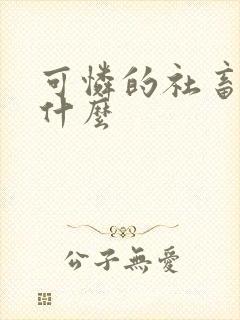 可怜的社畜讲的什么
