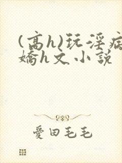 (高h)玩淫病娇h文小说