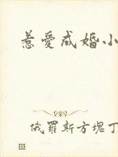 惹爱成婚小说