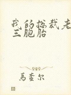 我的总裁老婆是三胞胎封面