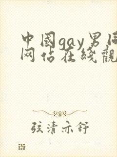 中国gay男同网站在线观看封面