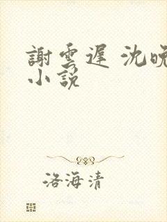谢云迟 沈晚梨小说封面