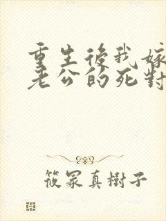 重生后我嫁给了老公的死对头 短剧