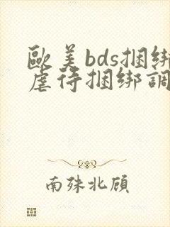 欧美bds捆绑虐待捆绑调教奴隶封面