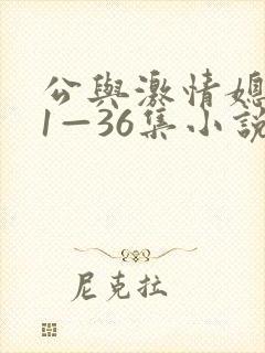 公与激情媳系列1—36集小说
