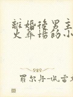 离婚后男主追妻火葬场的小说