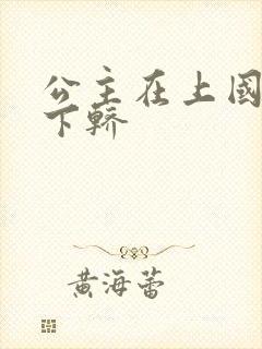公主在上国师请下轿