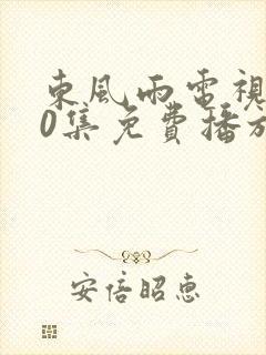 东风雨电视剧40集免费播放在线观看封面
