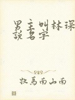 男主叫林琛的小说名字