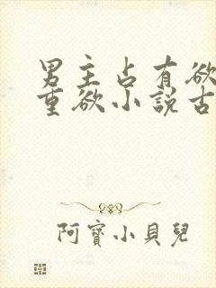 男主占有欲强且重欲小说古言封面