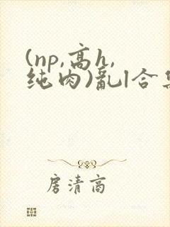 (np,高h,纯肉)乱l合集