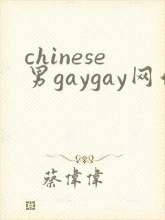 chinese男gaygay网站封面