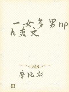 一女多男np高h爽文