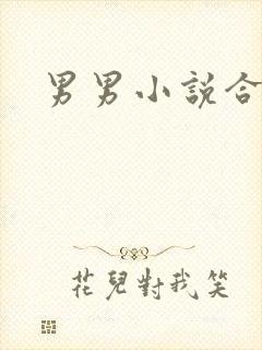 男男小说合集h