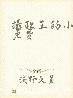 摄政王的小闲妻免费