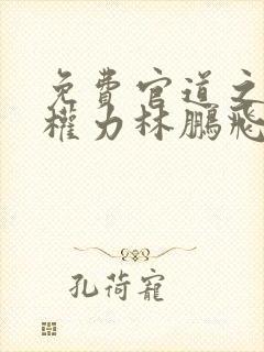 免费官道之绝对权力林鹏飞安江小说封面