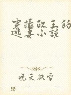 穿摄政王的侍爱逃妻小说