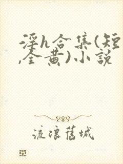 淫h合集(短篇,全黄)小说封面
