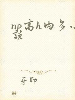 np高h肉多小说