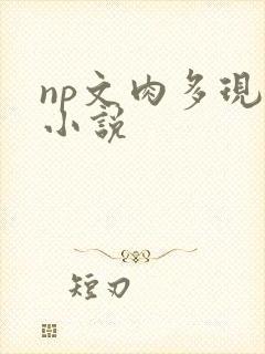 np文肉多现代小说