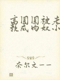 高圆圆被老头调教成肉奴小说最新章