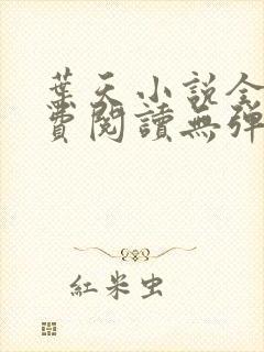 叶天小说全文免费阅读无弹窗