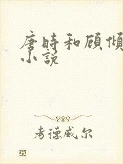 唐时和顾倾城的小说封面