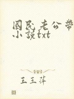 国民老公带回家小说txt封面