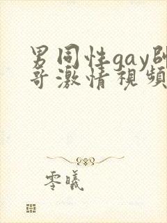 男同性gay帅哥激情视频封面