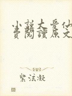 小说大爱仙尊免费阅读原文