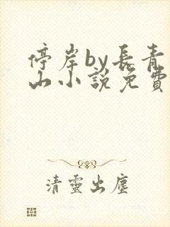 停岸by长青白山小说免费阅读笔趣阁