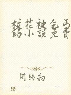 校花被乞丐捡尸的小说免费阅读