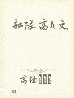 部队高h文