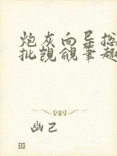 炮灰向导总惹疯批觊觎笔趣阁