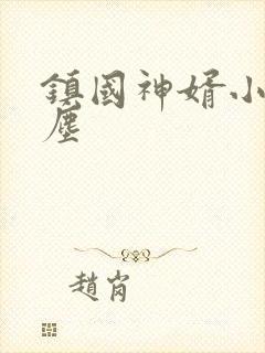 镇国神婿小说楚尘