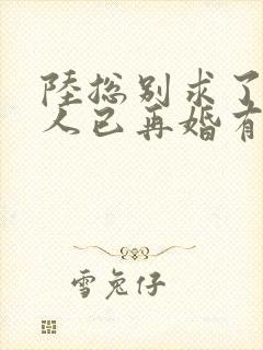 陆总别求了,夫人已再婚有娃了短剧免费观看