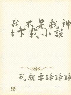 我不是戏神txt下载小说