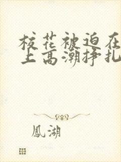 校花被迫在刑具上高潮挣扎小说
