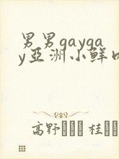 男男gaygay亚洲小鲜肉网站